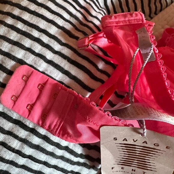 NWT Savage x Fenty Living in the Clouds Iridescent Lace Caged Demi Bra Pink 34DD - Picture 8 of 11